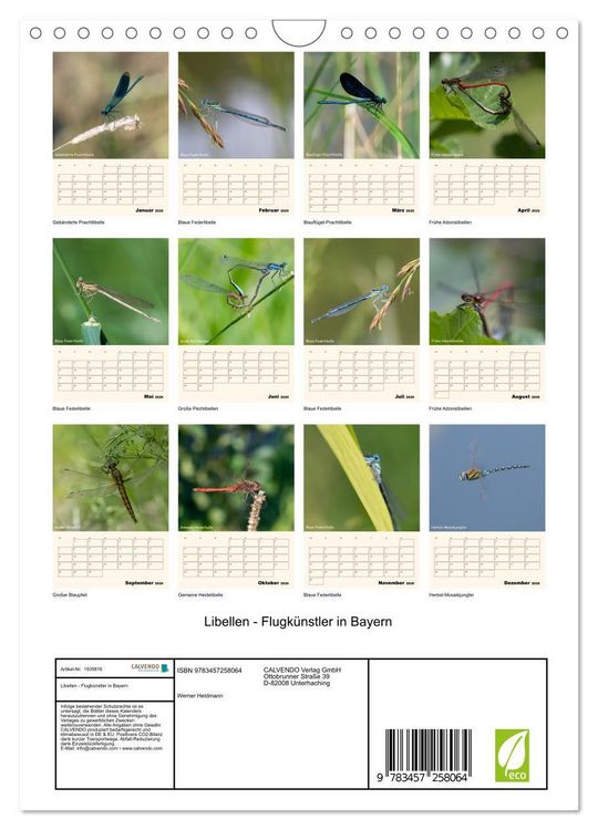 Produktbild: Libellen - Flugk&uuml;nstler in Bayern (Wandkalender 2026 DIN A4 hoch), CALVENDO Monatskalender