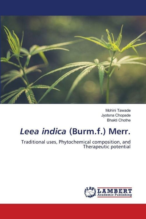 Produktbild: Leea indica (Burm.f.) Merr.