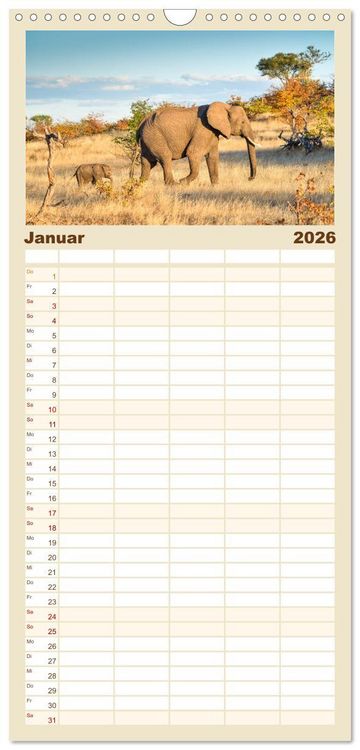 Produktbild: Familienplaner 2026 - Babyelefanten mit 5 Spalten (Wandkalender, 21 x 45 cm) CALVENDO