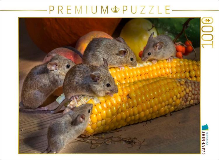 Produktbild: CALVENDO Puzzle Kleiner Nager - Maus | 1000 Teile Lege-Gr&ouml;&szlig;e 64x48cm Foto-Puzzle f&uuml;r gl&uuml;ckliche Stunden