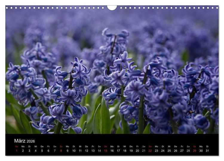 Produktbild: Ein fotografischer Streifzug durch Holland (Wandkalender 2026 DIN A3 quer), CALVENDO Monatskalender