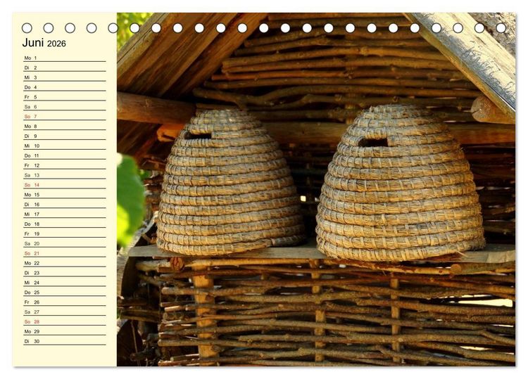 Produktbild: Flei&szlig;ige Bienen. Von der Bl&uuml;te bis zum Honig (Tischkalender 2026 DIN A5 quer), CALVENDO Monatskalender