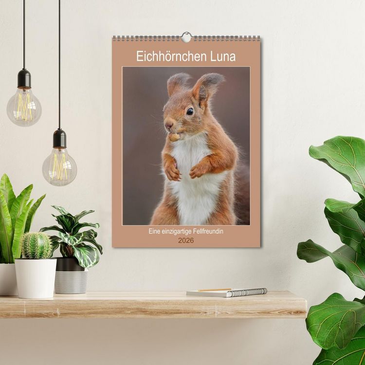 Produktbild: Eichh&ouml;rnchen Luna (Wandkalender 2026 DIN A3 hoch), CALVENDO Monatskalender