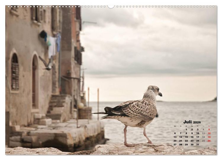 Produktbild: Wie ein Vogel in Rovinj! (hochwertiger Premium Wandkalender 2026 DIN A2 quer), Kunstdruck in Hochglanz