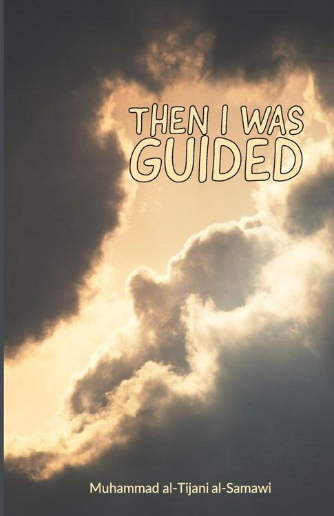 Produktbild: Then I Was Guided