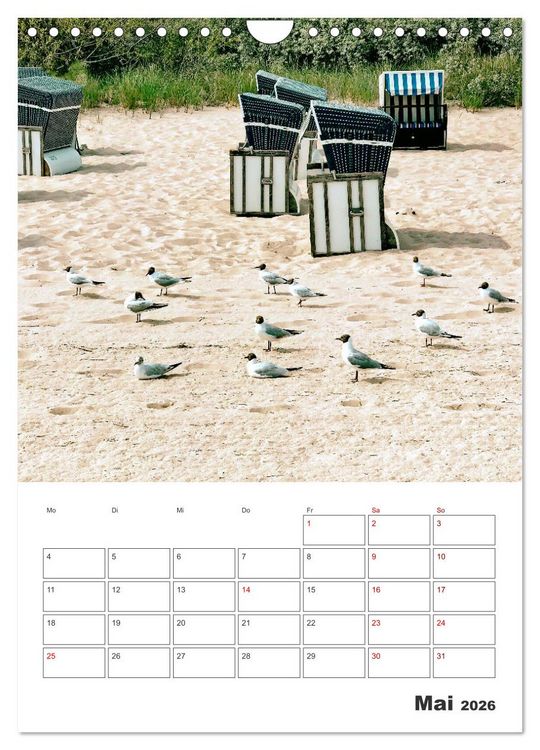 Produktbild: Usedom - Terminplaner (Wandkalender 2026 DIN A4 hoch), CALVENDO Monatskalender