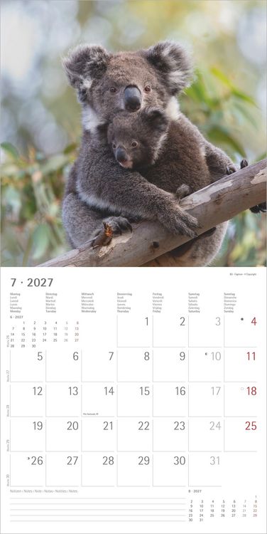 Produktbild: Tierbabys 2027