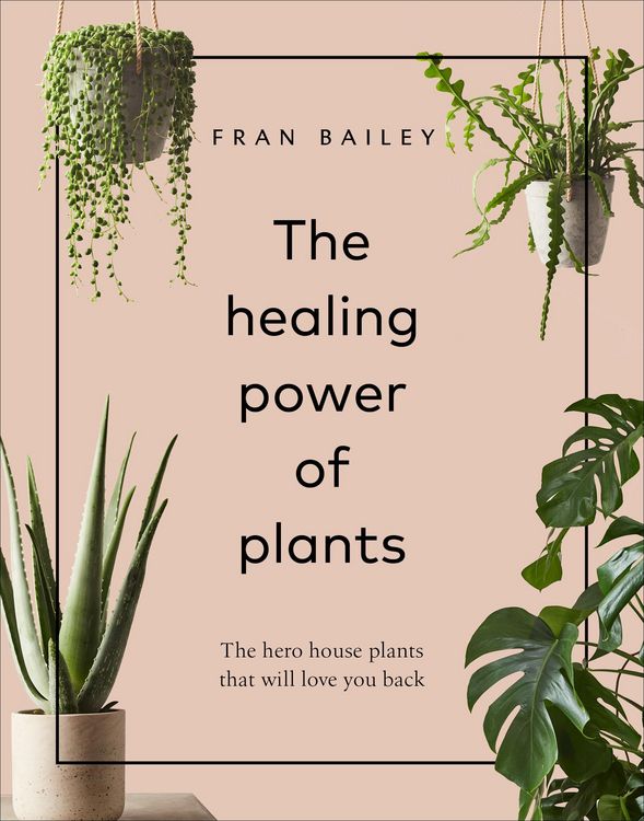 Produktbild: The Healing Power of Plants