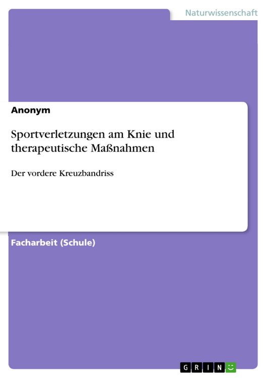 Produktbild: Sportverletzungen am Knie und therapeutische Ma&szlig;nahmen