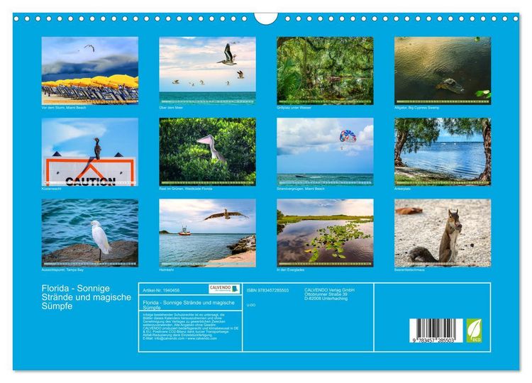Produktbild: Florida - Sonnige Str&auml;nde und magische S&uuml;mpfe (Wandkalender 2026 DIN A3 quer), CALVENDO Monatskalender