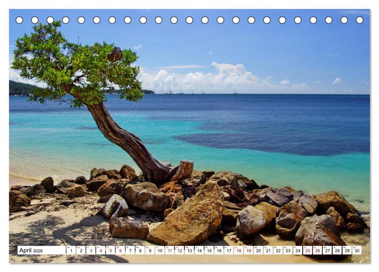 Produktbild: Martinique, die Traumstr&auml;nde (Tischkalender 2026 DIN A5 quer), CALVENDO Monatskalender