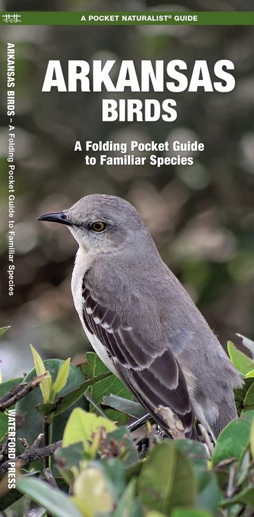 Produktbild: Arkansas Birds