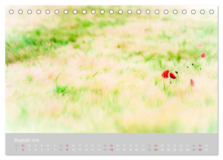 Produktbild: Zauber des Mohns (Tischkalender 2026 DIN A5 quer), CALVENDO Monatskalender