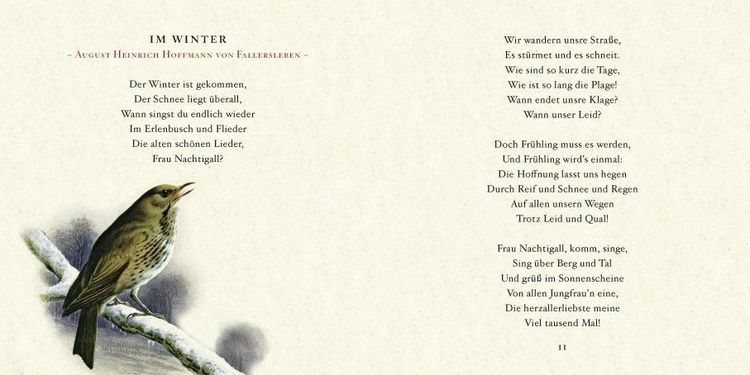 Produktbild: Winter
