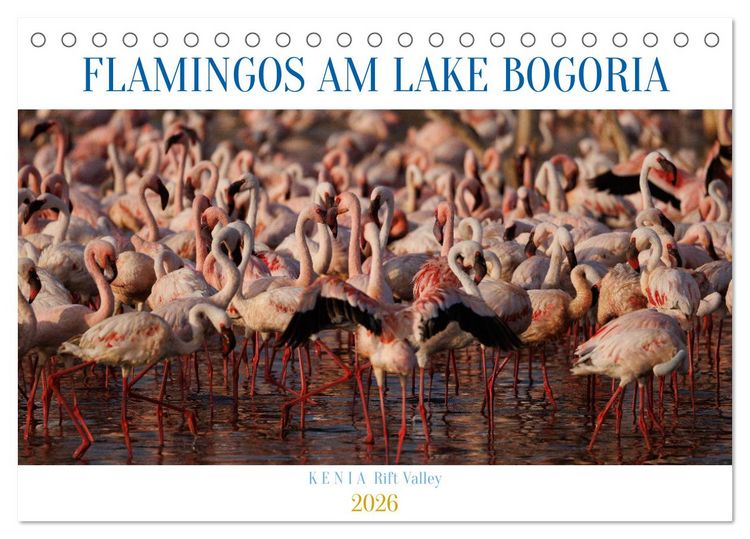 Produktbild: Flamingos am Lake Bogoria - Kenia (Tischkalender 2026 DIN A5 quer), CALVENDO Monatskalender