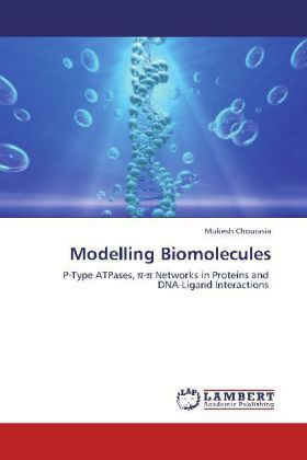 Produktbild: Chourasia, M: Modelling Biomolecules