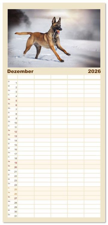 Produktbild: Familienplaner 2026 - Mit dem Malinois durch das Jahr mit 5 Spalten (Wandkalender, 21 x 45 cm) CALVENDO