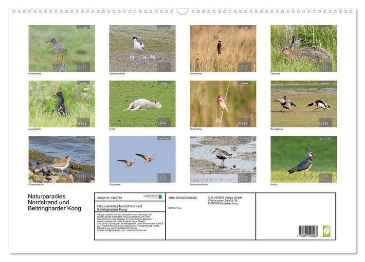 Produktbild: Naturparadies Nordstrand und Beltringharder Koog (Wandkalender 2026 DIN A2 quer), CALVENDO Monatskalender