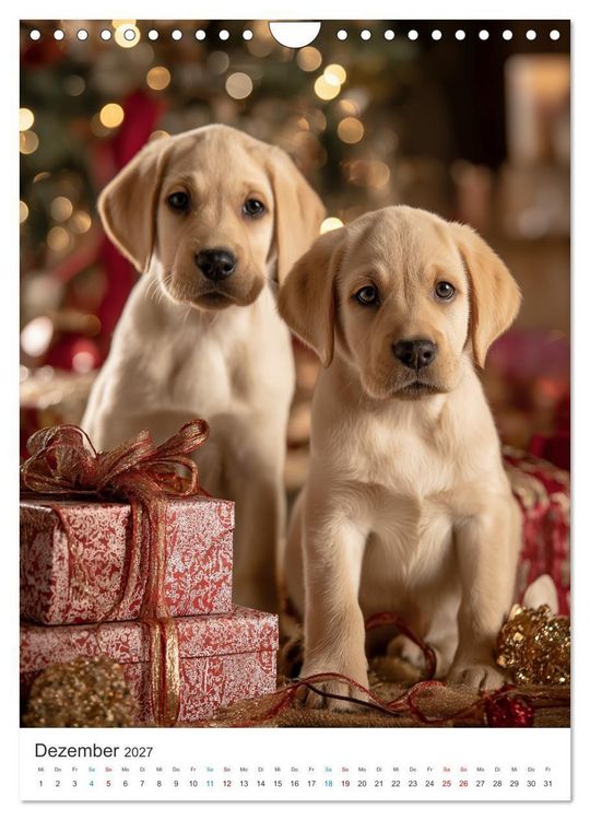 Produktbild: Mein Jahr mit Labradoren (Wandkalender 2027 DIN A4 hoch), CALVENDO Monatskalender