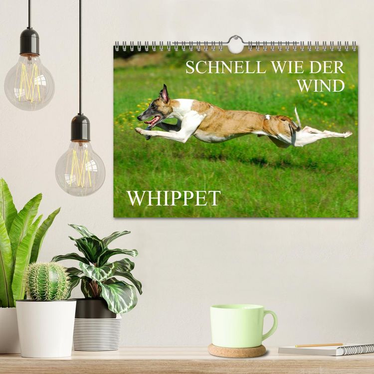 Produktbild: Schnell wie der Wind - Whippet (Wandkalender 2026 DIN A4 quer), CALVENDO Monatskalender