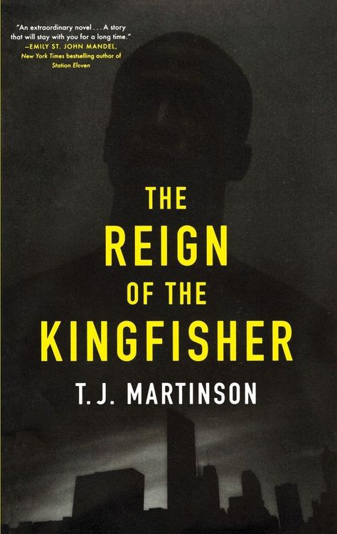 Produktbild: Reign of the Kingfisher