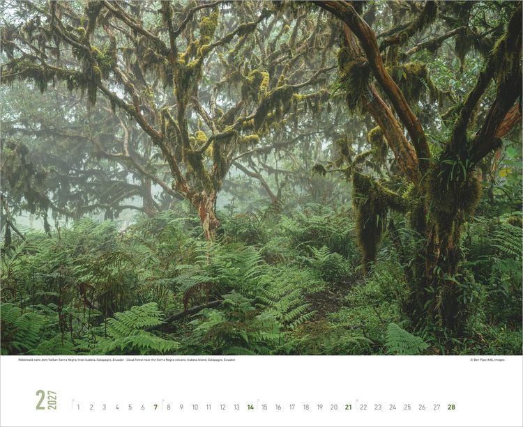 Produktbild: Zauberhafte W&auml;lder 2027