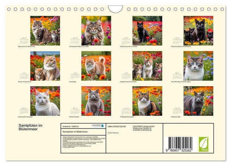Produktbild: Samtpfoten im Bl&uuml;tenmeer (Wandkalender 2026 DIN A4 quer), CALVENDO Monatskalender