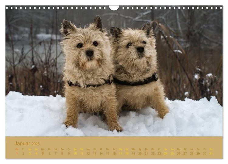 Produktbild: Cairns Forever (Wandkalender 2026 DIN A3 quer), CALVENDO Monatskalender