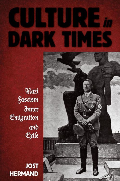 Produktbild: Culture in Dark Times