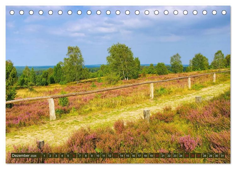 Produktbild: L&uuml;neburger Heide - Wanderung rund um Wilsede und Totengrund (Tischkalender 2026 DIN A5 quer), CALVENDO Monatskalender