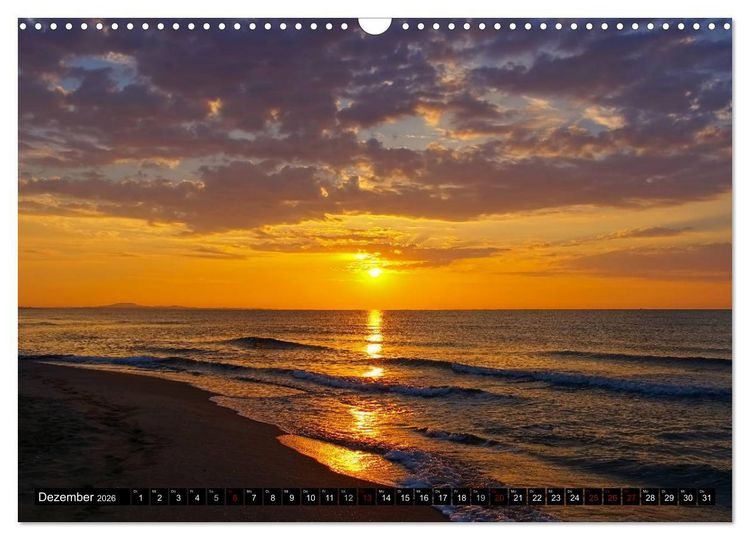 Produktbild: Camargue - Im Land der wei&szlig;en Pferde und schwarzen Stiere (Wandkalender 2026 DIN A3 quer), CALVENDO Monatskalender