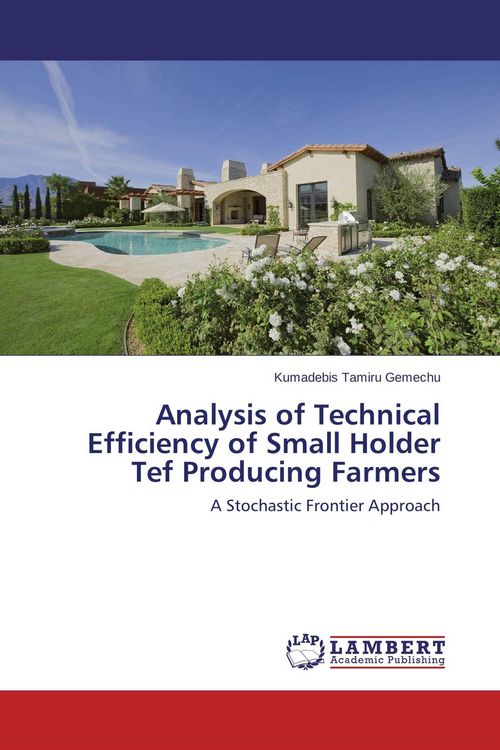Produktbild: Analysis of Technical Efficiency of Small Holder Tef Producing Farmers