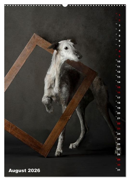 Produktbild: dogmuse deluxe (hochwertiger Premium Wandkalender 2026 DIN A2 hoch), Kunstdruck in Hochglanz