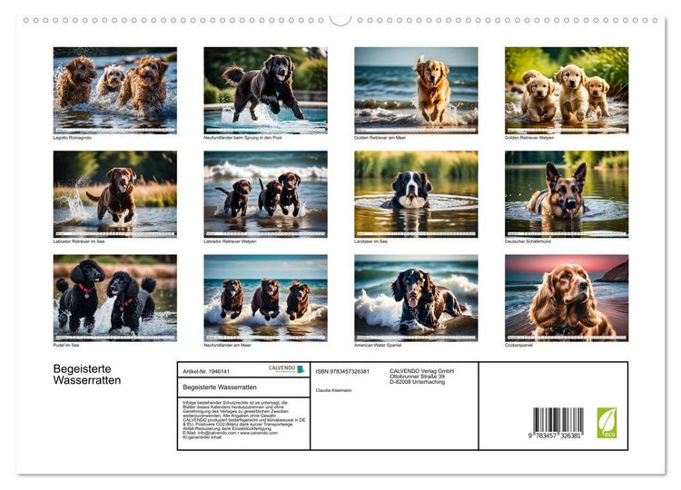 Produktbild: Begeisterte Wasserratten (hochwertiger Premium Wandkalender 2026 DIN A2 quer), Kunstdruck in Hochglanz