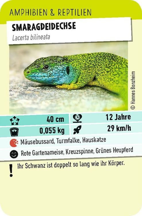 Produktbild: Tiere Toppen