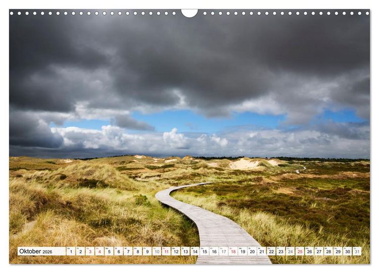 Produktbild: Amrum. Natur und Landschaften (Wandkalender 2026 DIN A3 quer), CALVENDO Monatskalender