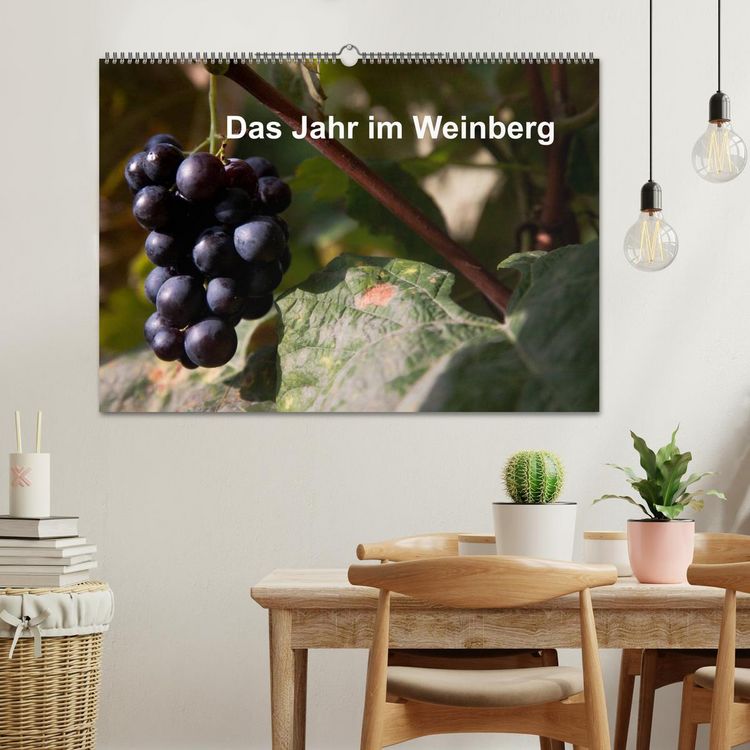 Produktbild: Das Jahr im Weinberg (Wandkalender 2026 DIN A2 quer), CALVENDO Monatskalender