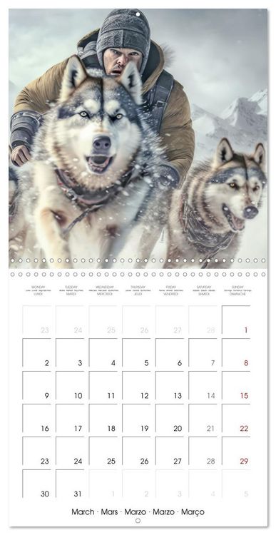 Produktbild: Husky obsession (Wall Calendar 2026 12 &times; 12 Inch) CALVENDO 12 Month Wall Calendar