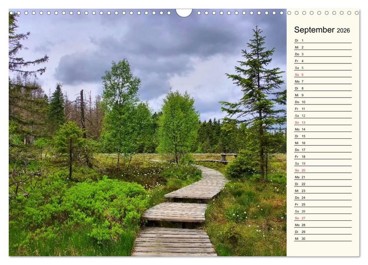 Produktbild: Der Harz - Sch&ouml;nstes Mittelgebirge Deutschlands (Wandkalender 2026 DIN A3 quer), CALVENDO Monatskalender
