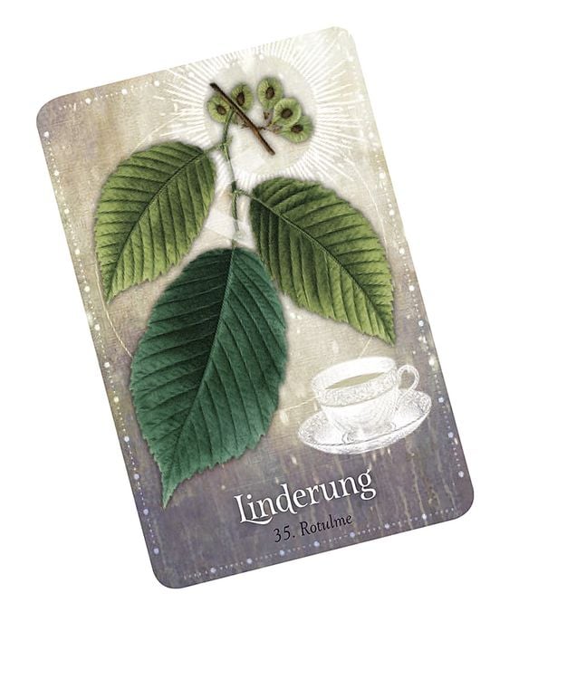 Produktbild: Das magische Orakel der Heilpflanzen