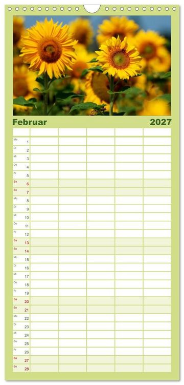 Produktbild: Familienplaner 2027 - Sonnenblumen mit 5 Spalten (Wandkalender, 21 x 45 cm) CALVENDO
