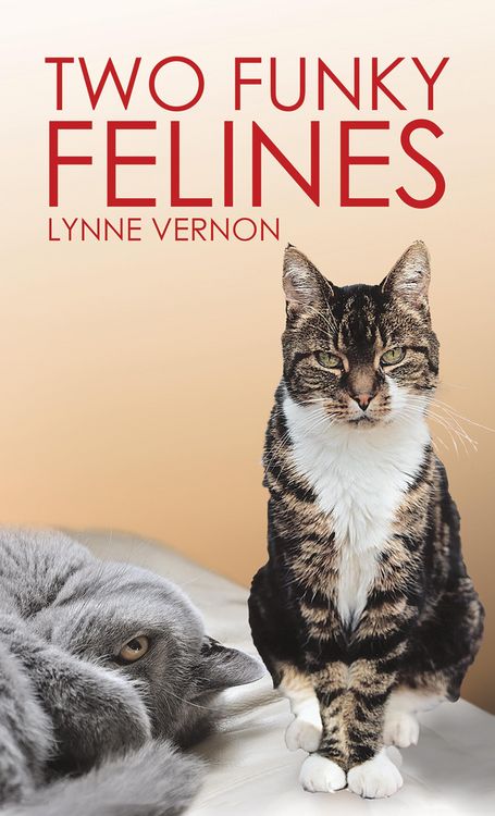 Produktbild: Two Funky Felines