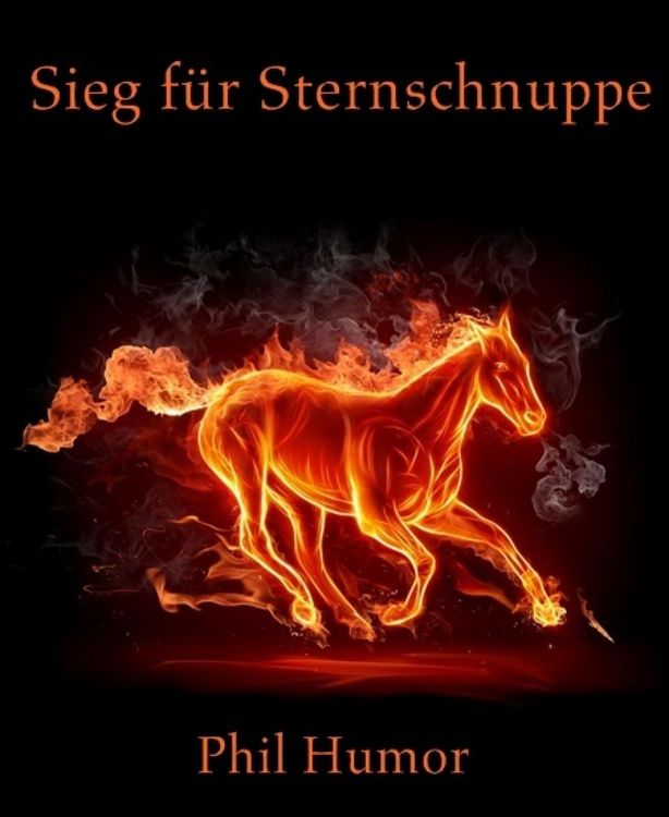 Produktbild: Sieg f&uuml;r Sternschnuppe