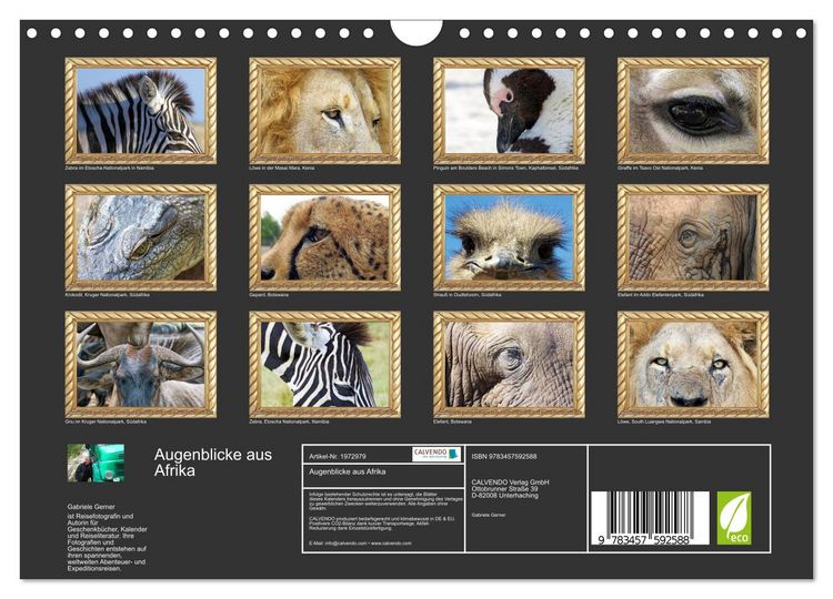 Produktbild: Augenblicke aus Afrika (Wandkalender 2026 DIN A4 quer), CALVENDO Monatskalender