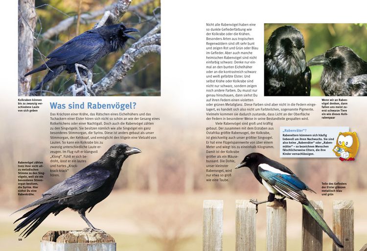 Produktbild: Entdecke die Rabenv&ouml;gel