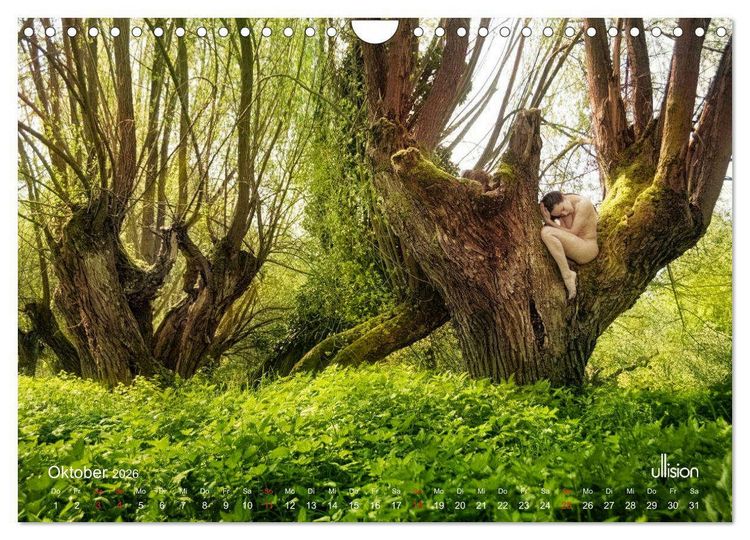 Produktbild: Lieblingsb&auml;ume - eins mit der Natur (Wandkalender 2026 DIN A4 quer), CALVENDO Monatskalender