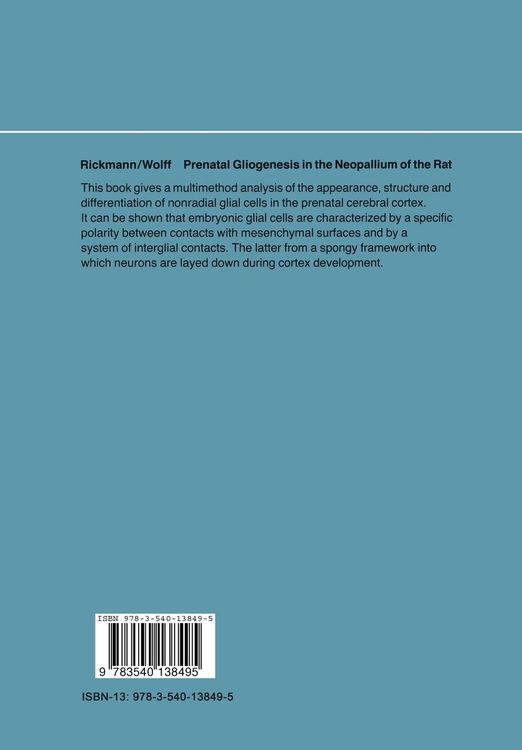 Produktbild: Prenatal Gliogenesis in the Neopallium of the Rat