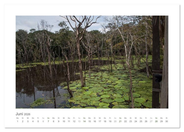 Produktbild: Amazonas, eine Reise entlang seiner Ufer (Tischkalender 2026 DIN A5 quer), CALVENDO Monatskalender