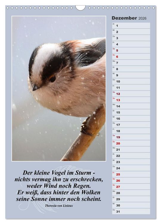 Produktbild: Schwanzmeisen, die niedlichen kleinen Pfannenstielchen (Wandkalender 2026 DIN A3 hoch), CALVENDO Monatskalender