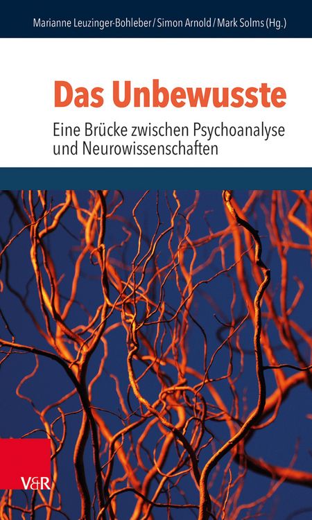 Produktbild: Das Unbewusste - Eine Br&uuml;cke zwischen Psychoanalyse und Neurowissenschaften